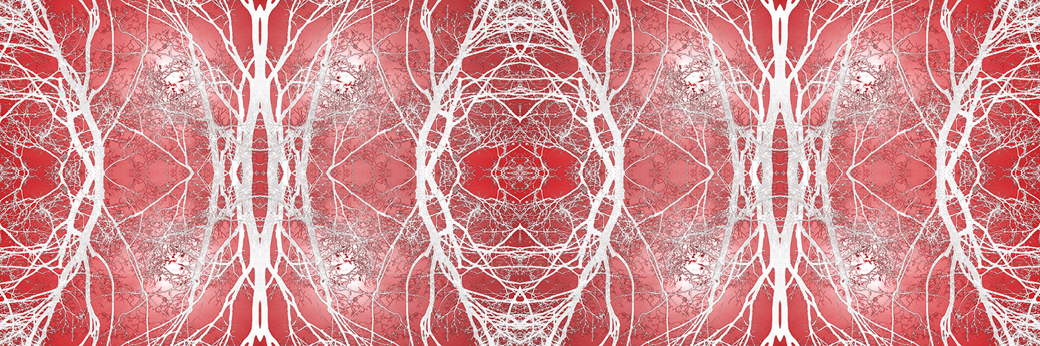 Lacy white on red symmetrical image based on bare tree branches to express branching vascular systems. Artwork by Kim-Lee Kho, 2019.